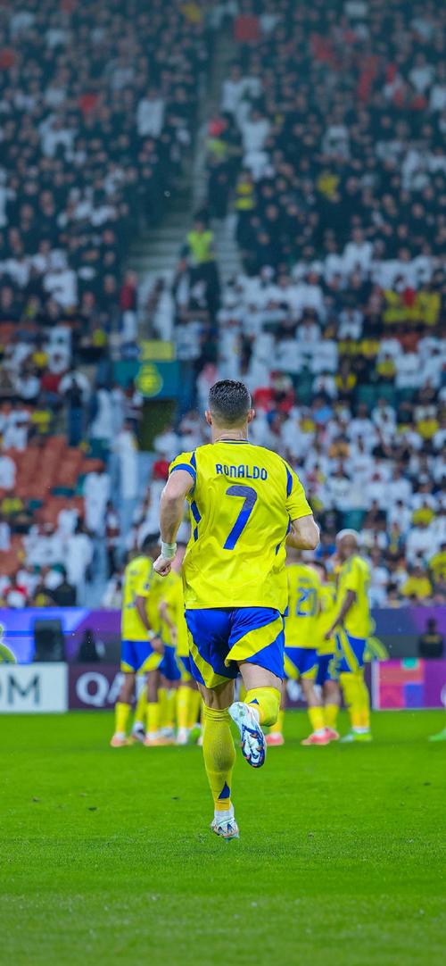 球星背身单打简直教科书（球星背身单打堪称教科书级）